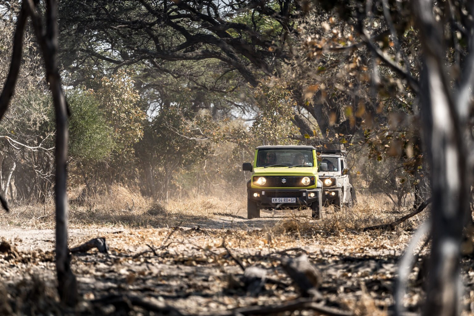 Suzuki-Safari-Botswana-Lrg-484-1536x1024