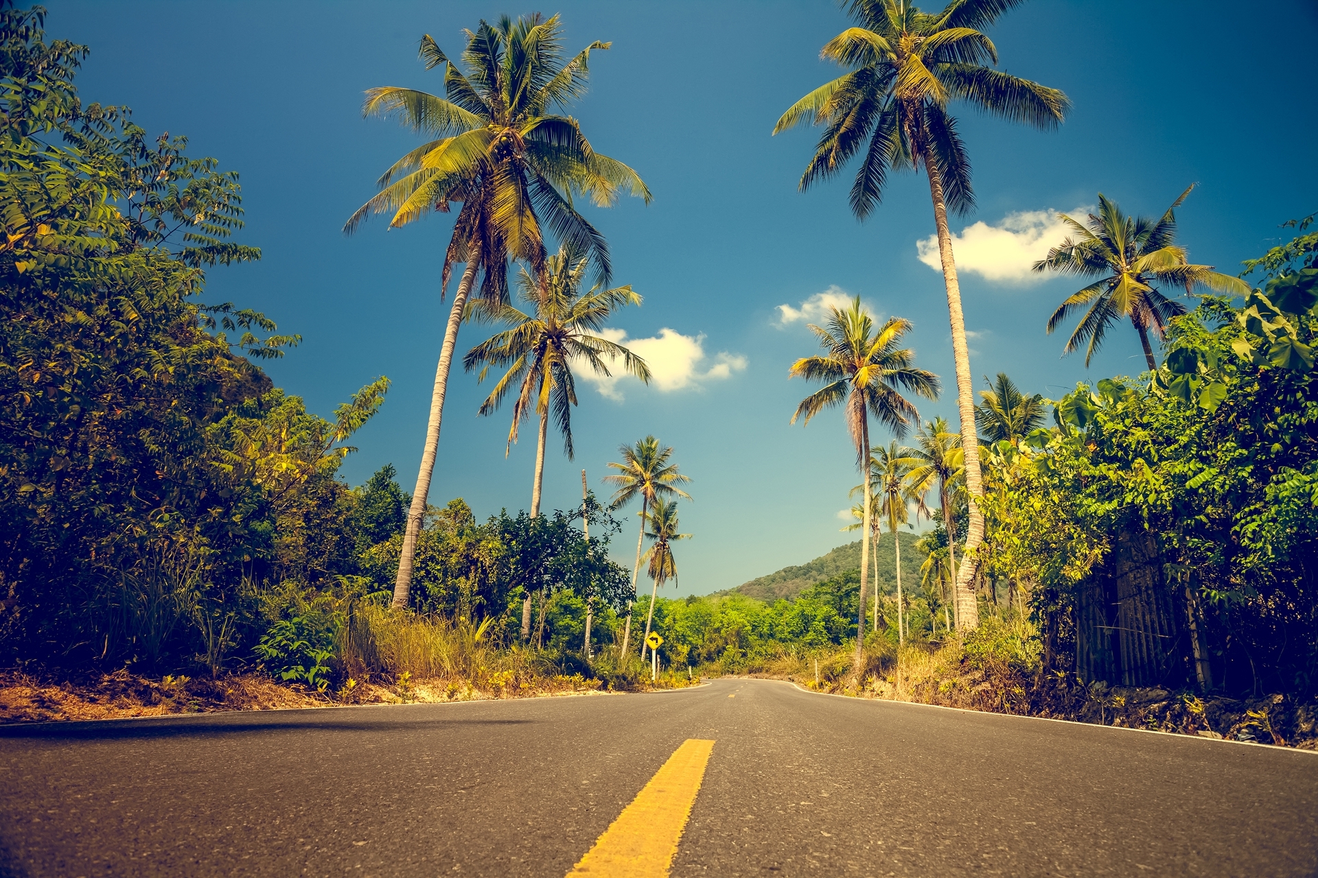 nice-asfalt-road-with-palm-trees-2026-03-17-06-34-53-utc 1
