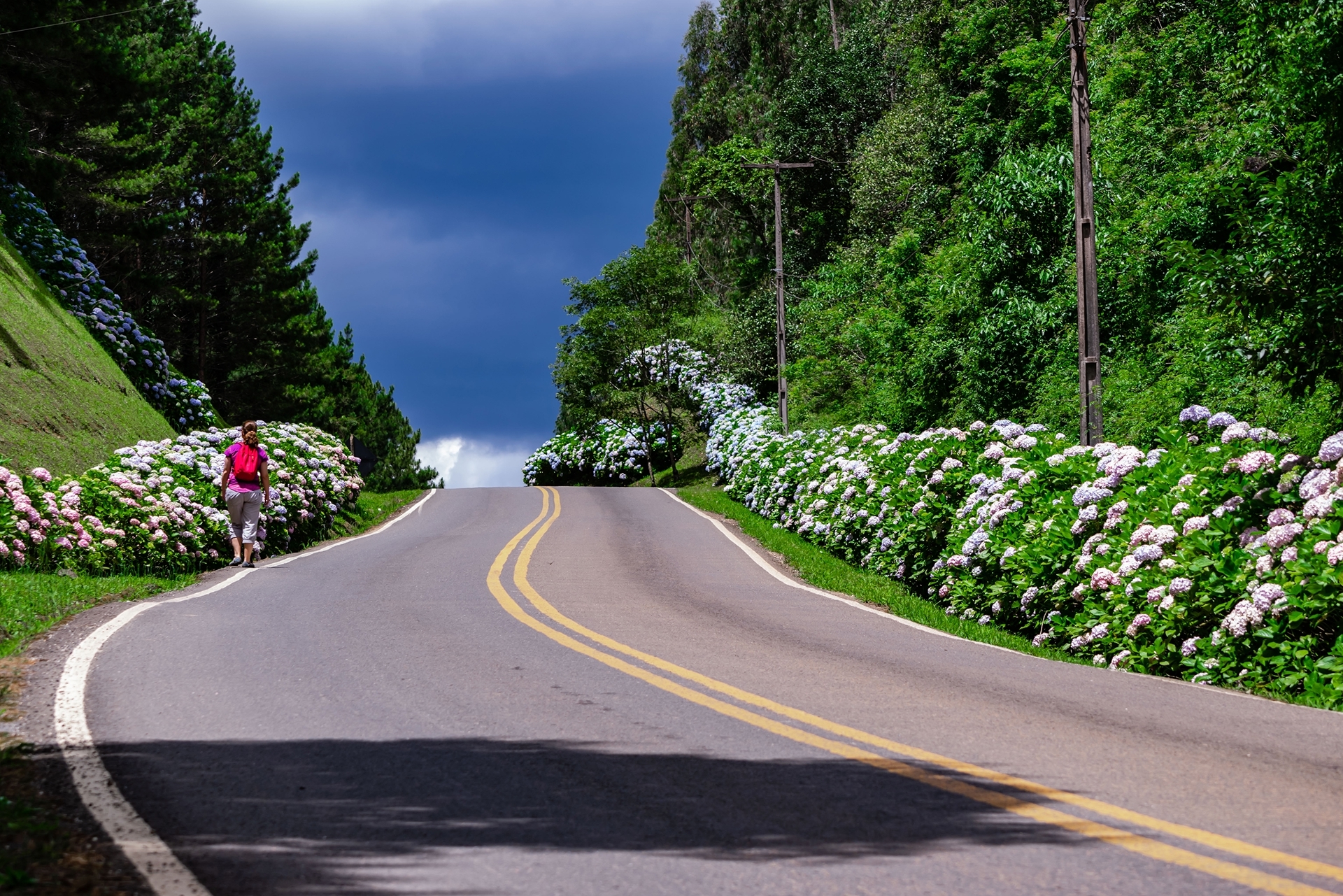 rear-view-of-young-woman-walking-in-a-road-with-hy-2026-01-11-09-02-44-utc 1