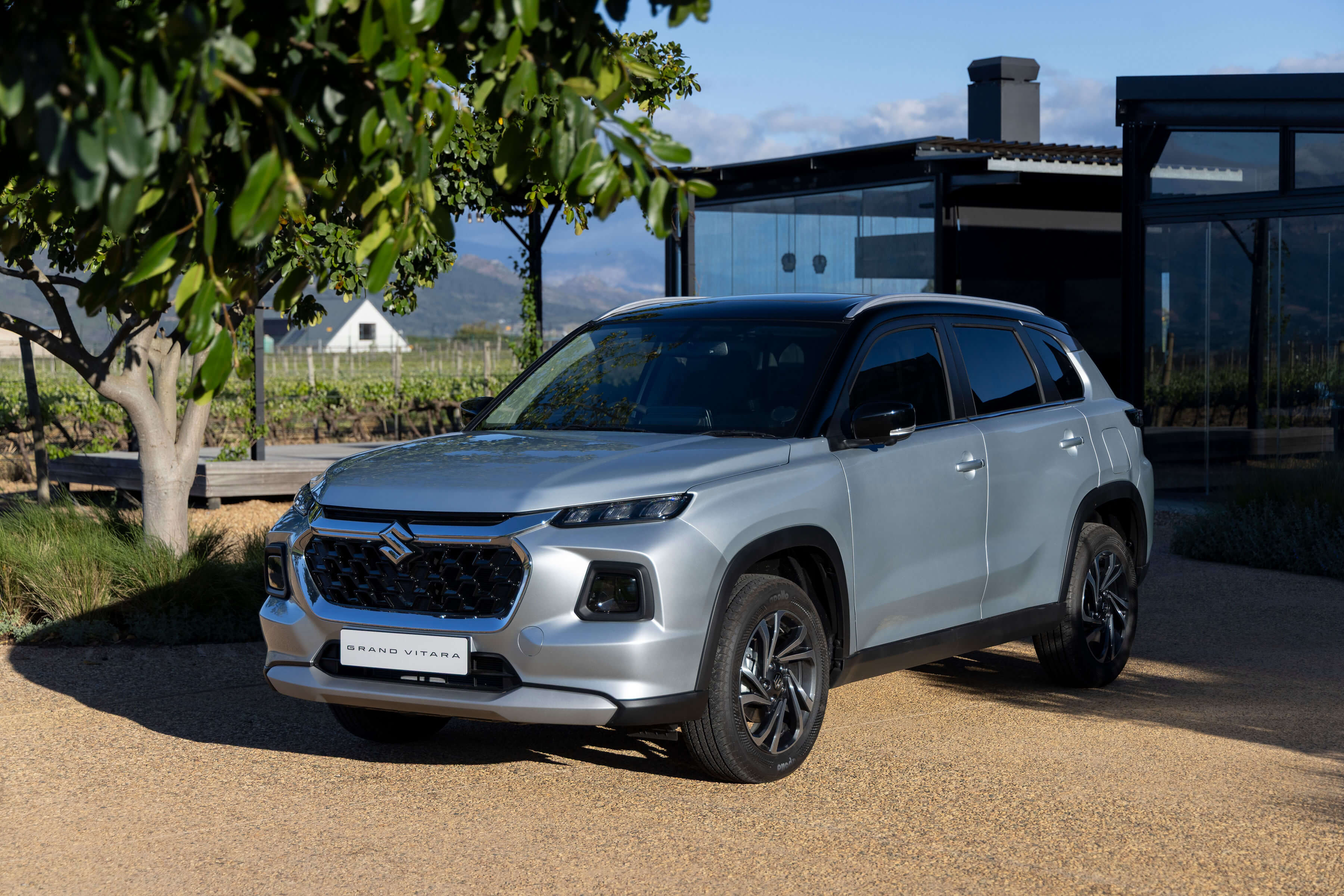 suzuki-grand-vitara-parked-under-the-tree