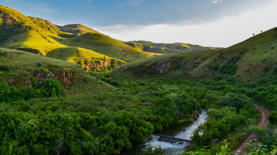 Mesmerizing Mpumalanga