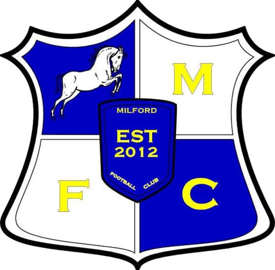 Team Logo