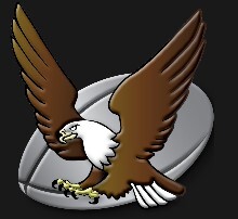 Team Logo