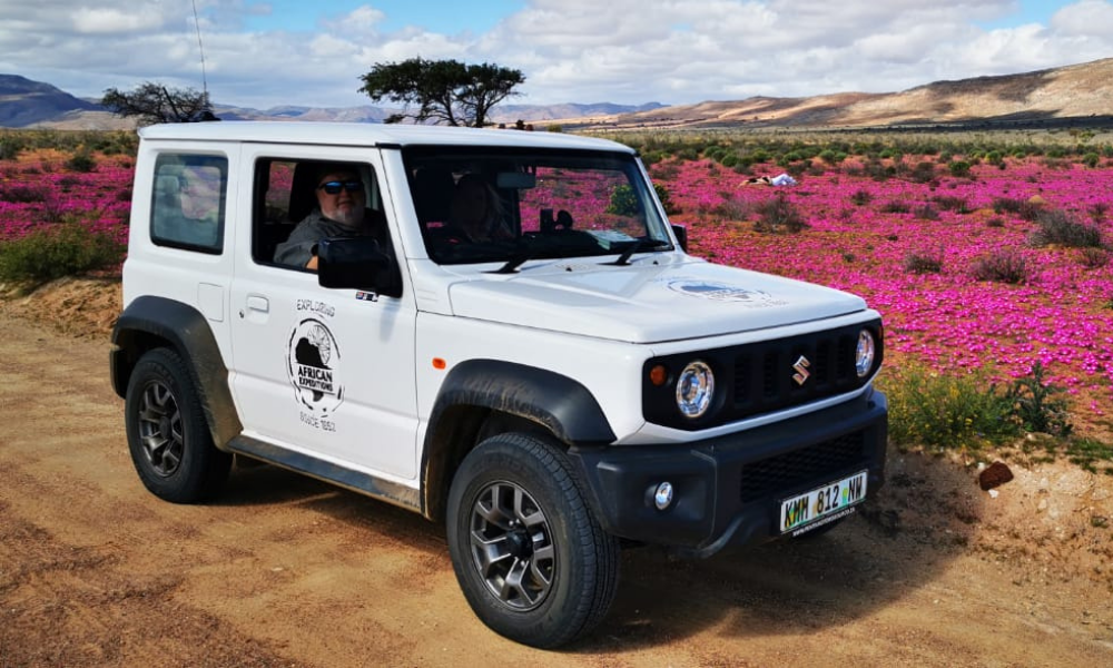 Jimny Namaqua Wildflower